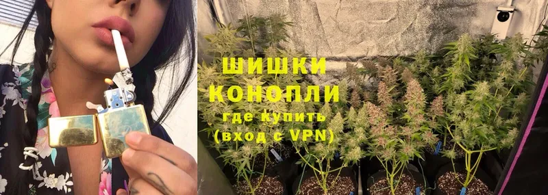 Бошки Шишки White Widow  что такое наркотик  Балей 